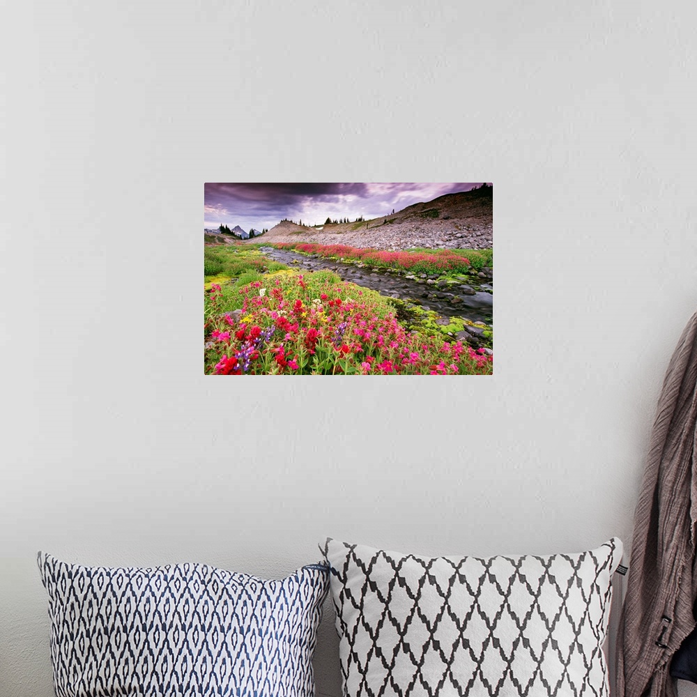 A bohemian room featuring Giant photograph displays groups of flowers sitting on opposite sides of a slow moving stream.  F...