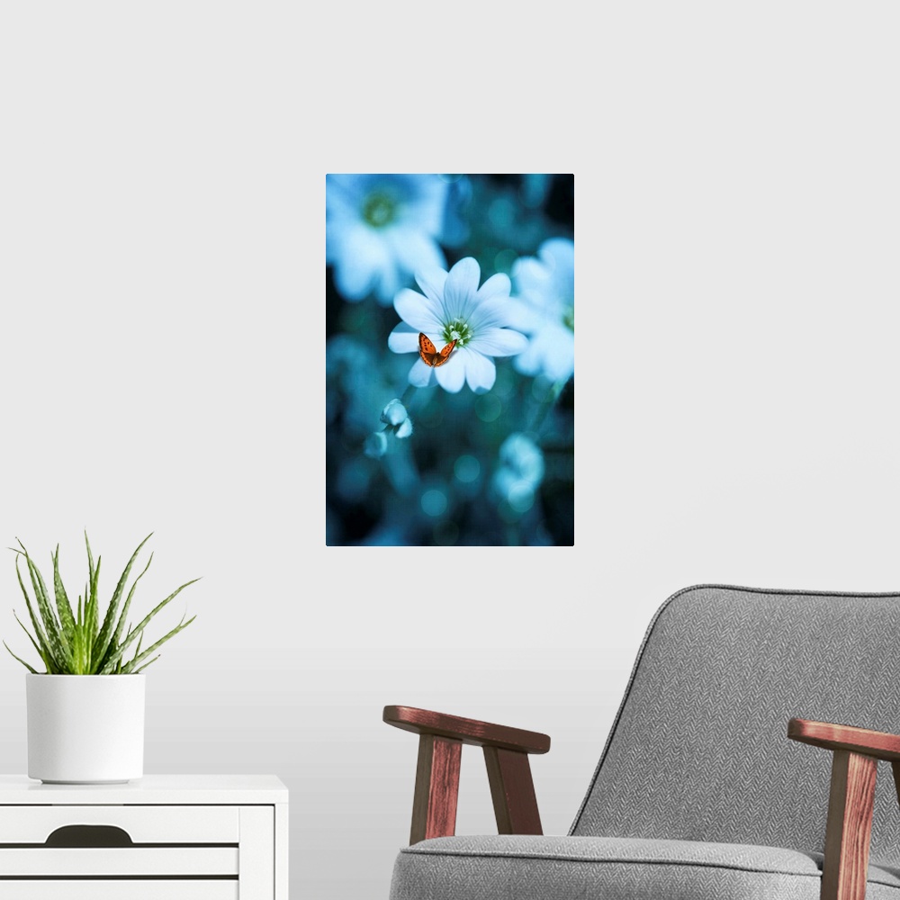 A modern room featuring An artistic photograph of a white flower surrounded by blue tones.