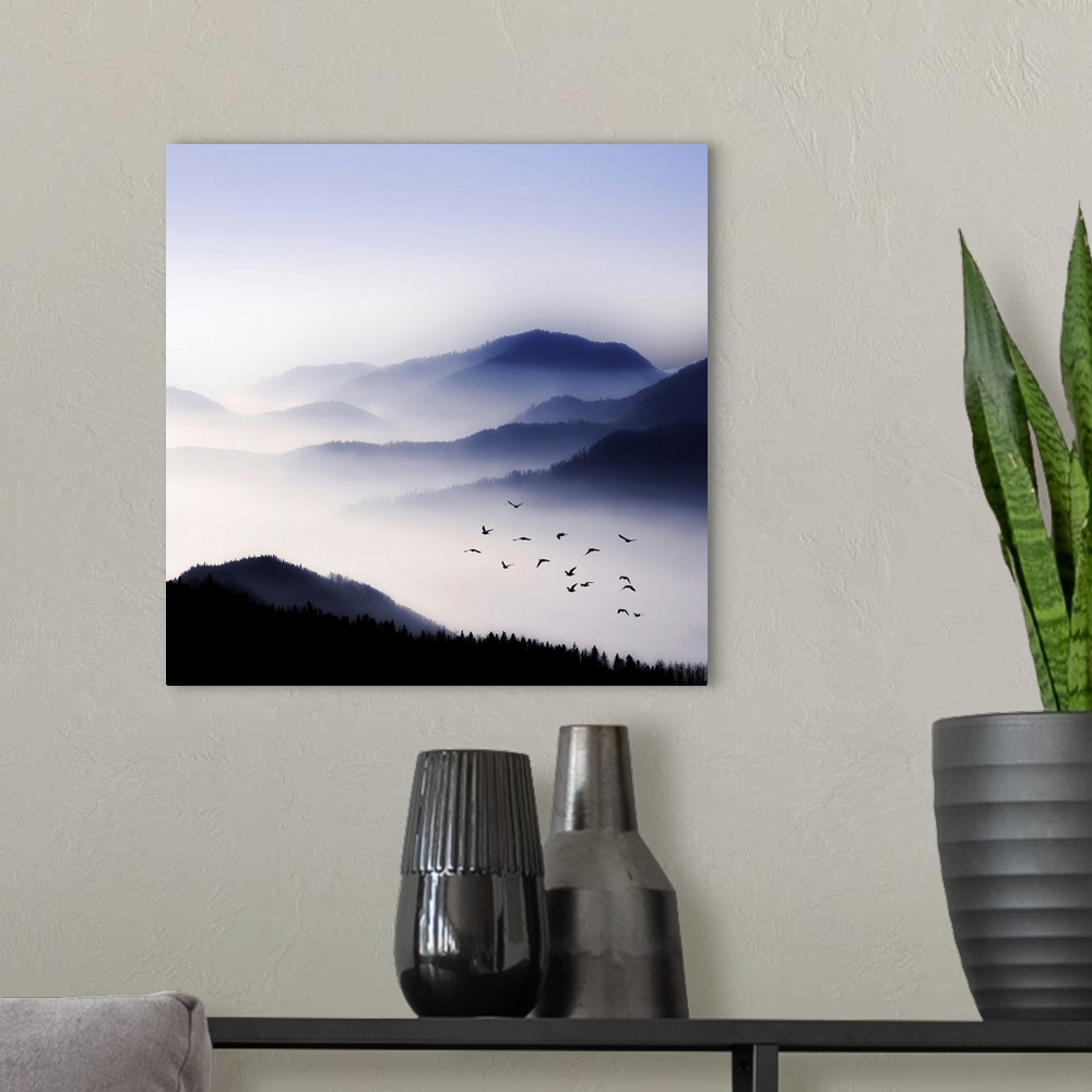 A modern room featuring Dense fog hangs over large tree covered hills with a flock of birds flying above the fog.
