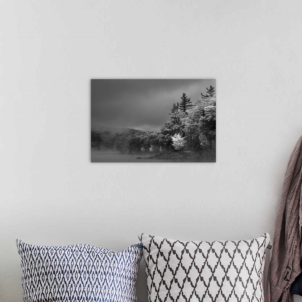 A bohemian room featuring Black and White image of heavy fog over a lake lined with trees on a gloomy day.