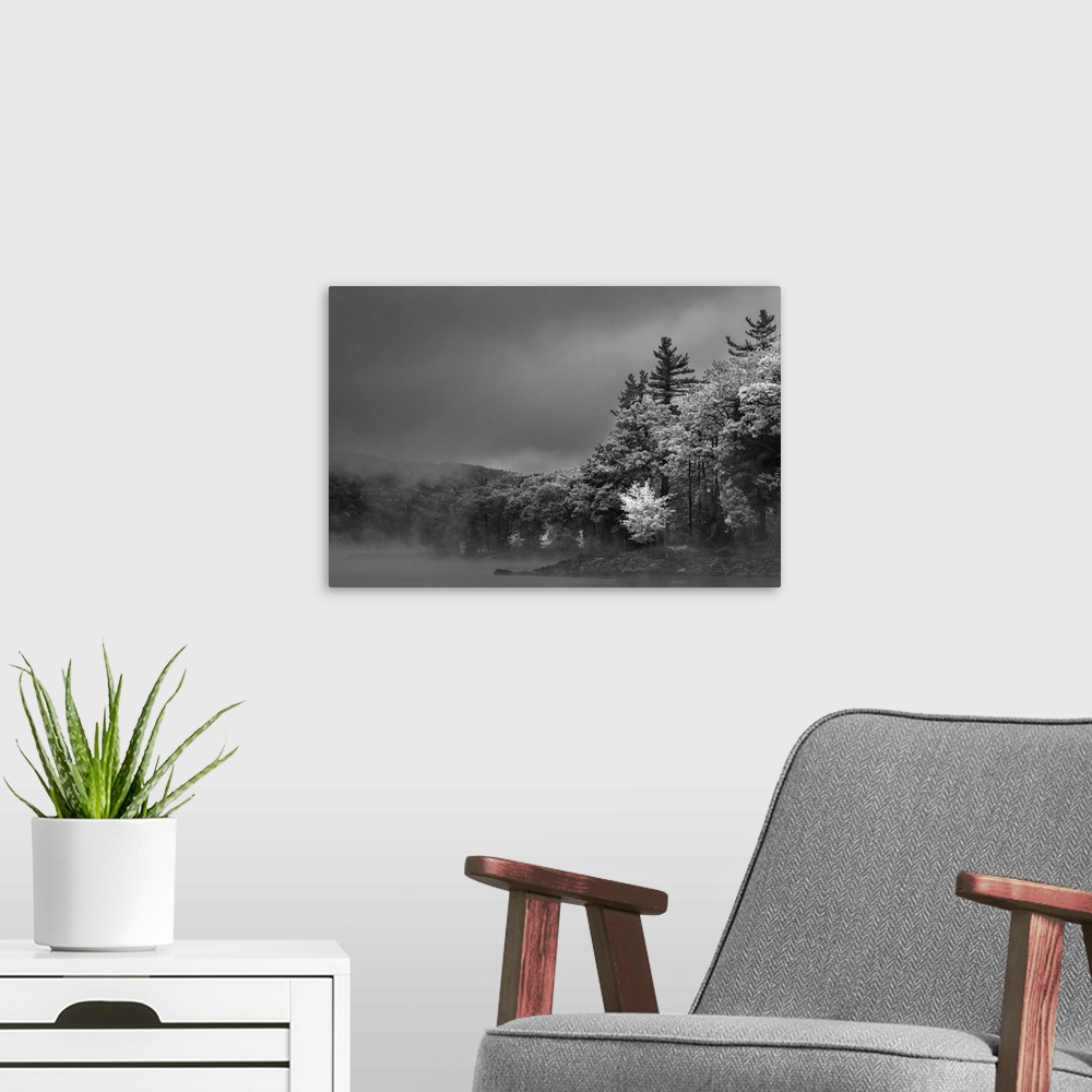 A modern room featuring Black and White image of heavy fog over a lake lined with trees on a gloomy day.
