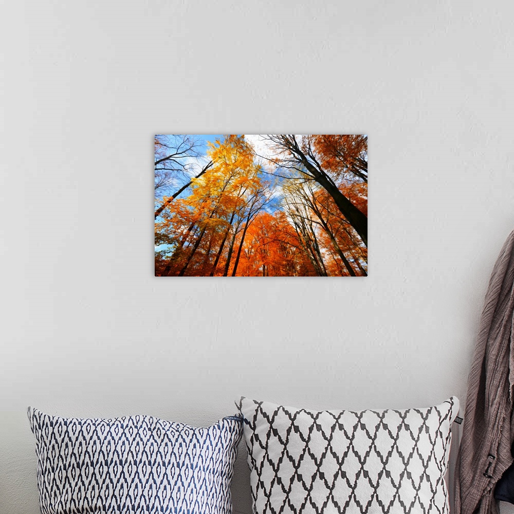 A bohemian room featuring Trees against the sky with a expressionist photo effect