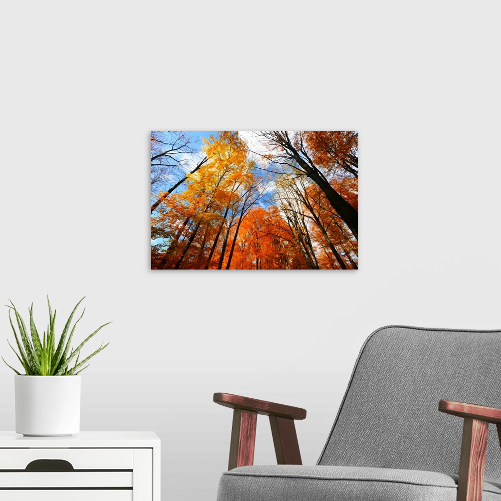 A modern room featuring Trees against the sky with a expressionist photo effect
