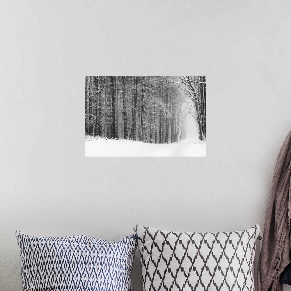 A bohemian room featuring Fine art photo of a path going through a forest in winter, in black and white.