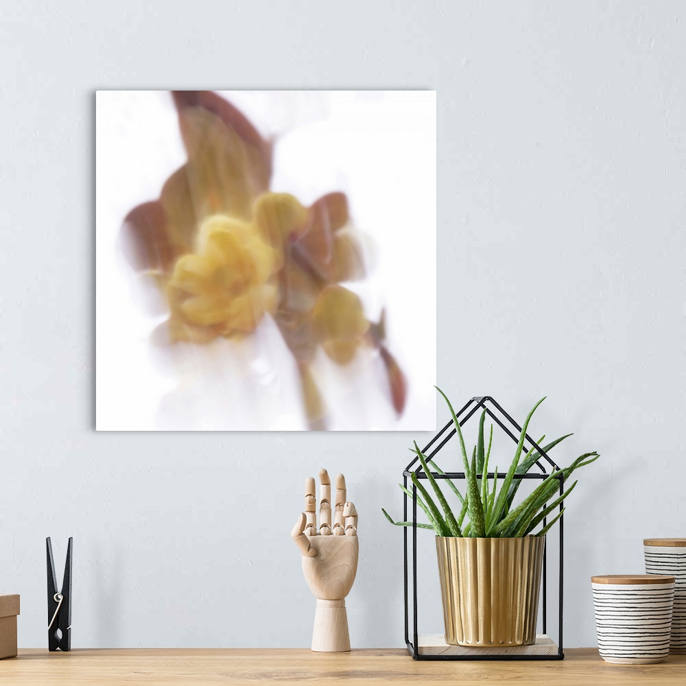 A bohemian room featuring View of an artistically blurred yellow flower emerges from the shadows.
