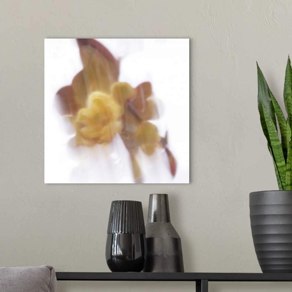 A modern room featuring View of an artistically blurred yellow flower emerges from the shadows.
