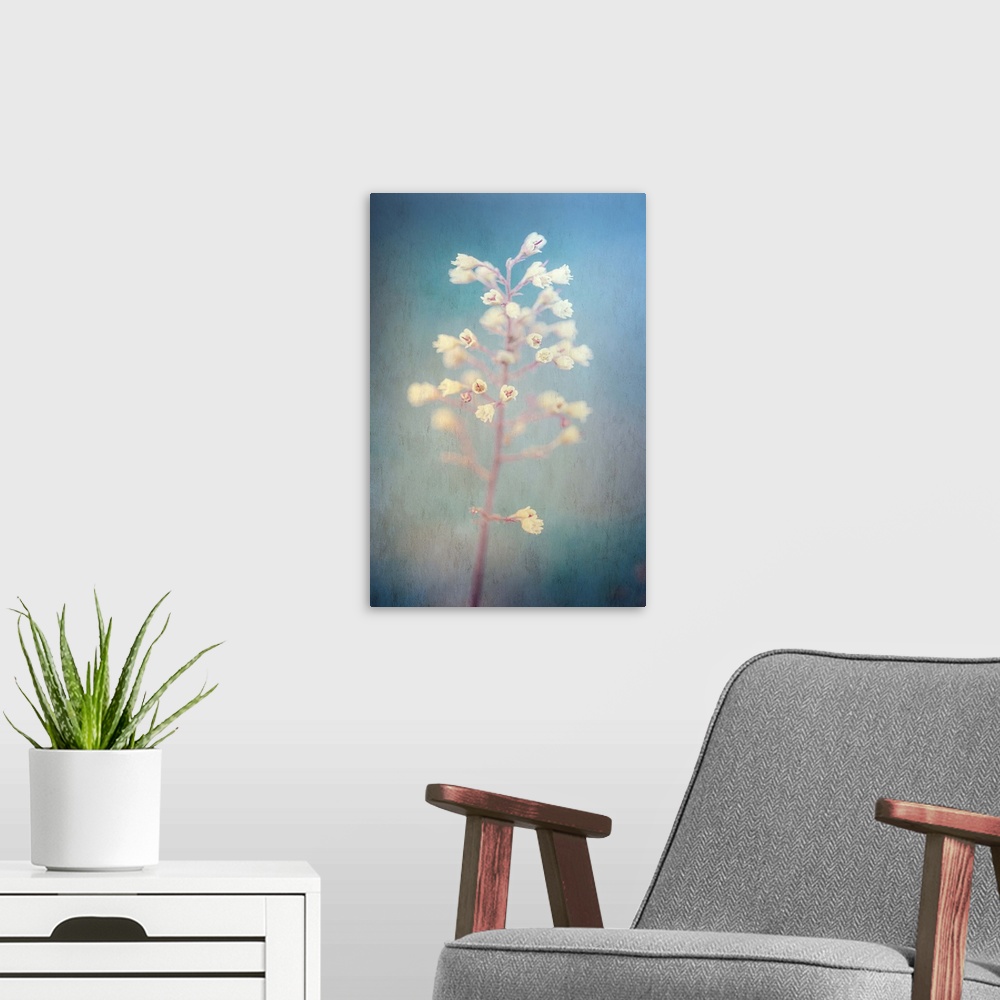 A modern room featuring A photograph of white flowers against a vibrant blue background.