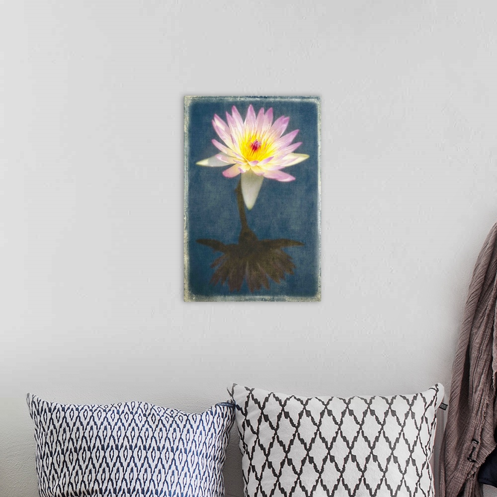 A bohemian room featuring Fragrant Water Lily with Reflections