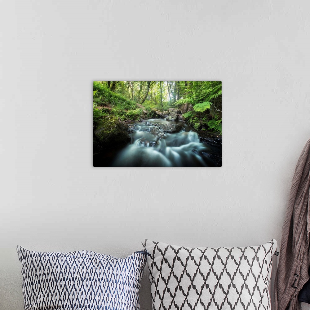 A bohemian room featuring Rushing river through a forest surrounded by ferns