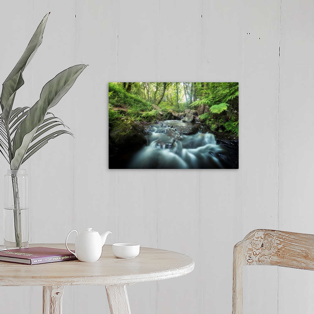 A farmhouse room featuring Rushing river through a forest surrounded by ferns