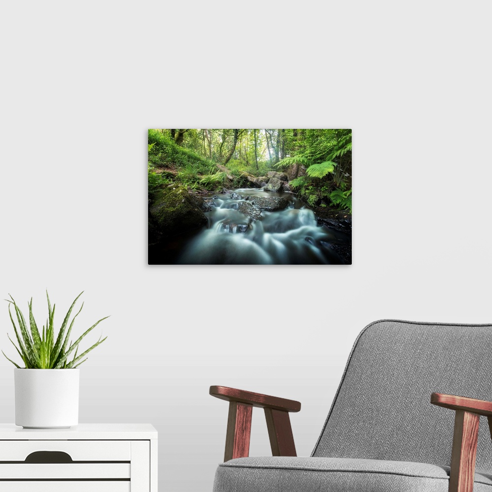 A modern room featuring Rushing river through a forest surrounded by ferns
