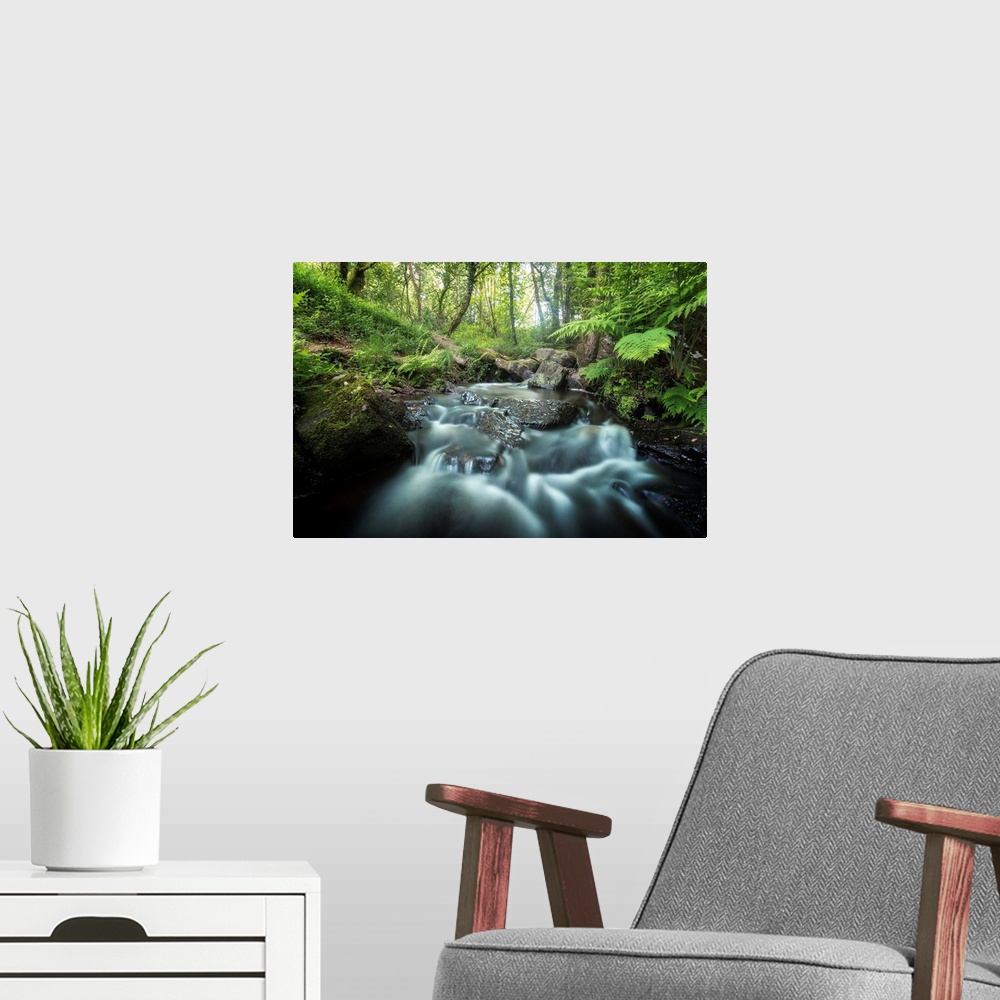 A modern room featuring Rushing river through a forest surrounded by ferns