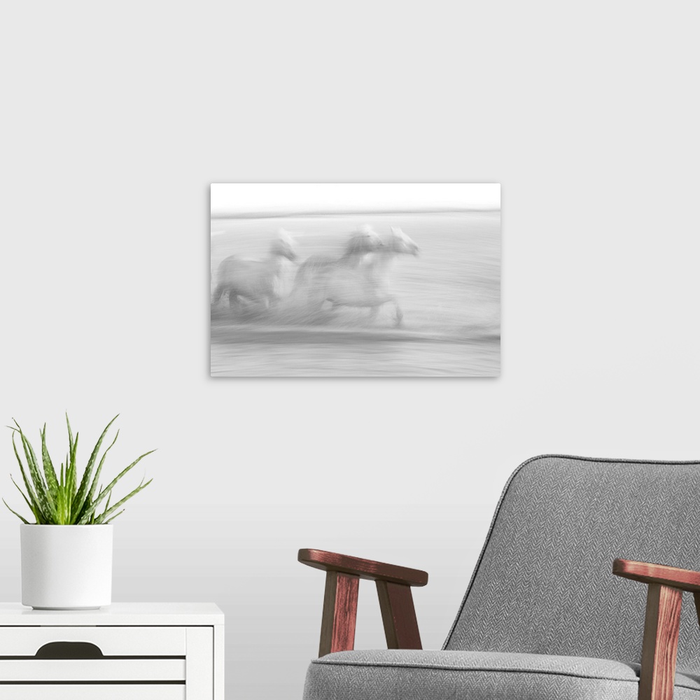 A modern room featuring Abstract photo of horses galloping that has been edited to illustrate a motion blur effect.