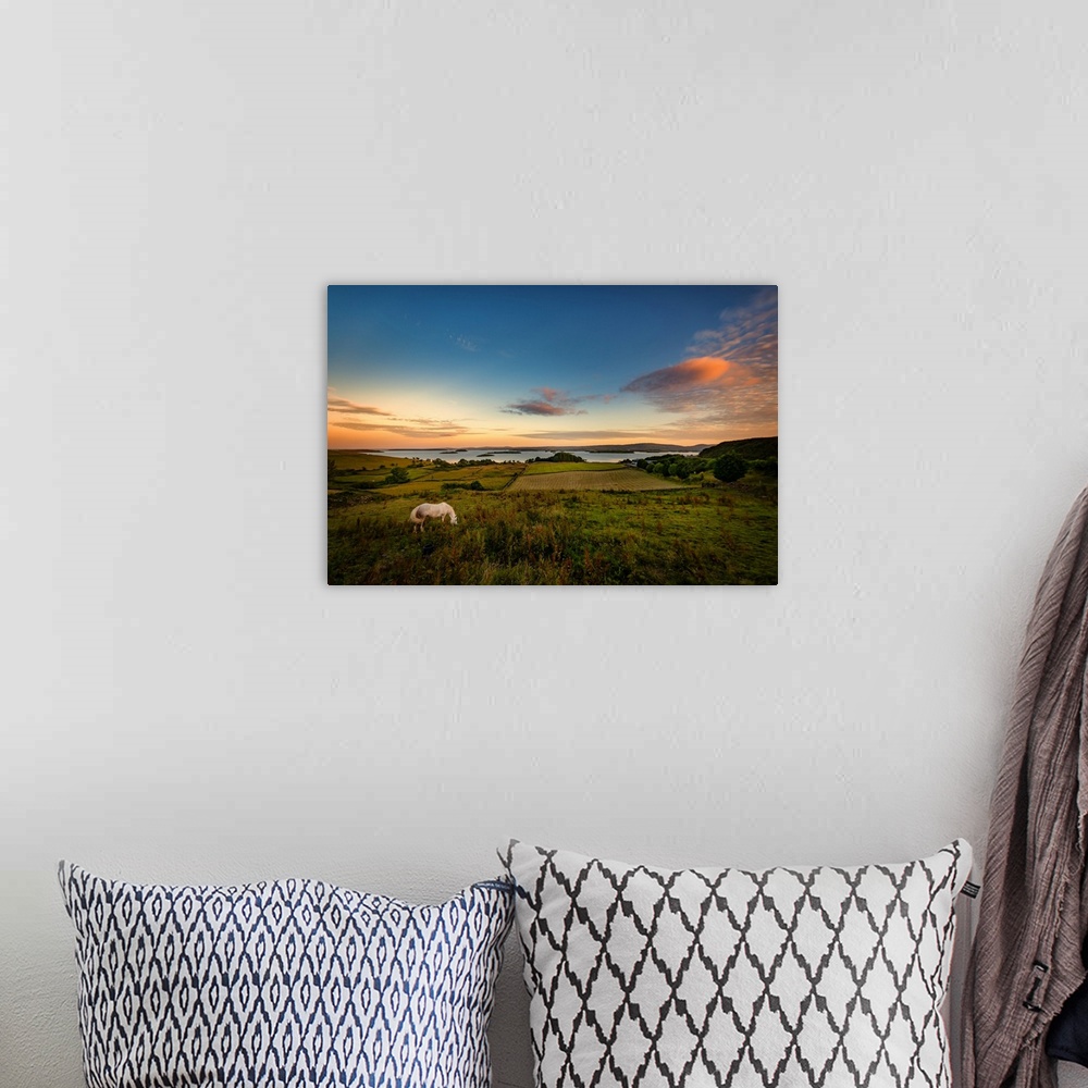 A bohemian room featuring Sunset over Irish nature with a white horse in the foreground