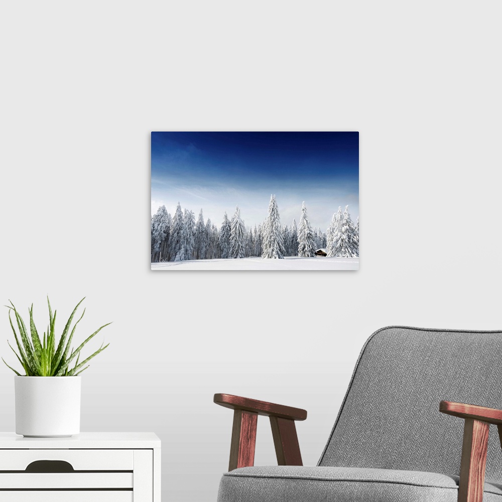 A modern room featuring Fine art photo of a forest in winter under a fresh snowfall.