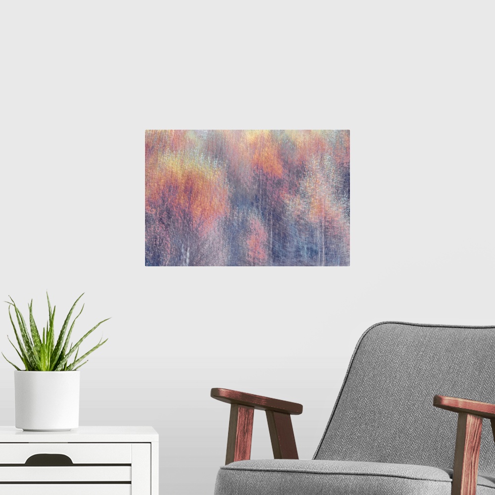 A modern room featuring An impressionistic landscape of autumn fall trees in soft pinks, peaches and silvery whites.