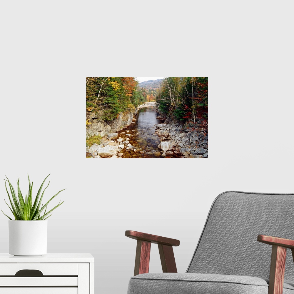 A modern room featuring A calm creek runs through rocky terrain with forests on either side and autumn colored mountains ...