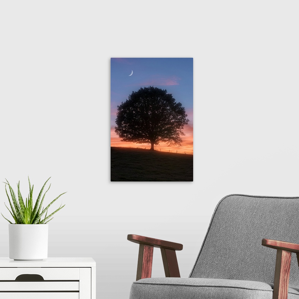 A modern room featuring Silhouette of a tree in the evening with the moon above.