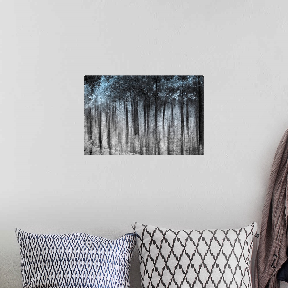 A bohemian room featuring This wall art is an abstract landscape photograph of dark vertical shapes contrasting with a pale...