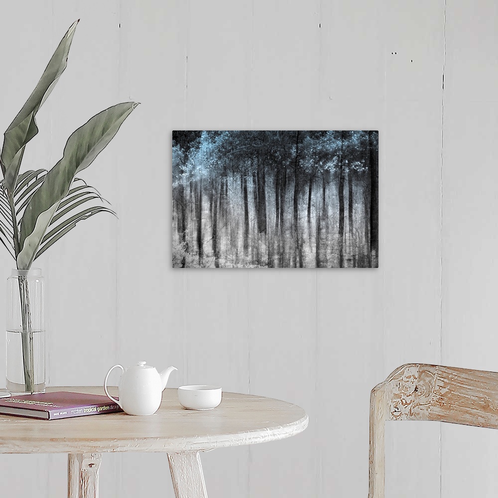 A farmhouse room featuring This wall art is an abstract landscape photograph of dark vertical shapes contrasting with a pale...