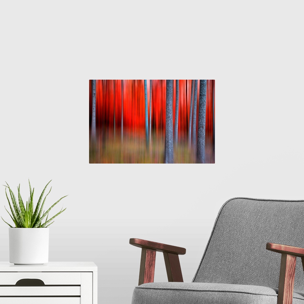 A modern room featuring Huge contemporary canvas art that is composed of a forest filled with thin trees.