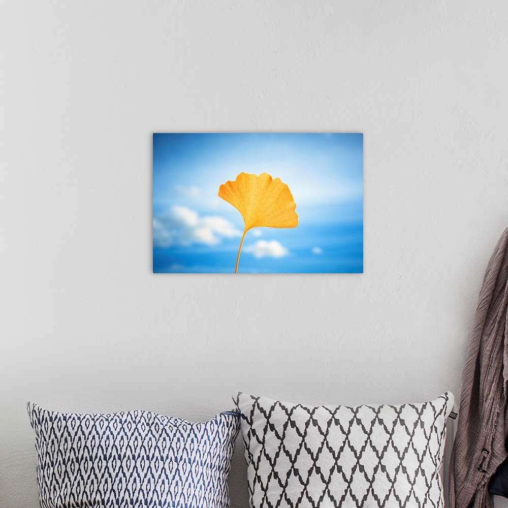 A bohemian room featuring Yellow gingko leaf in front of a blue sky
