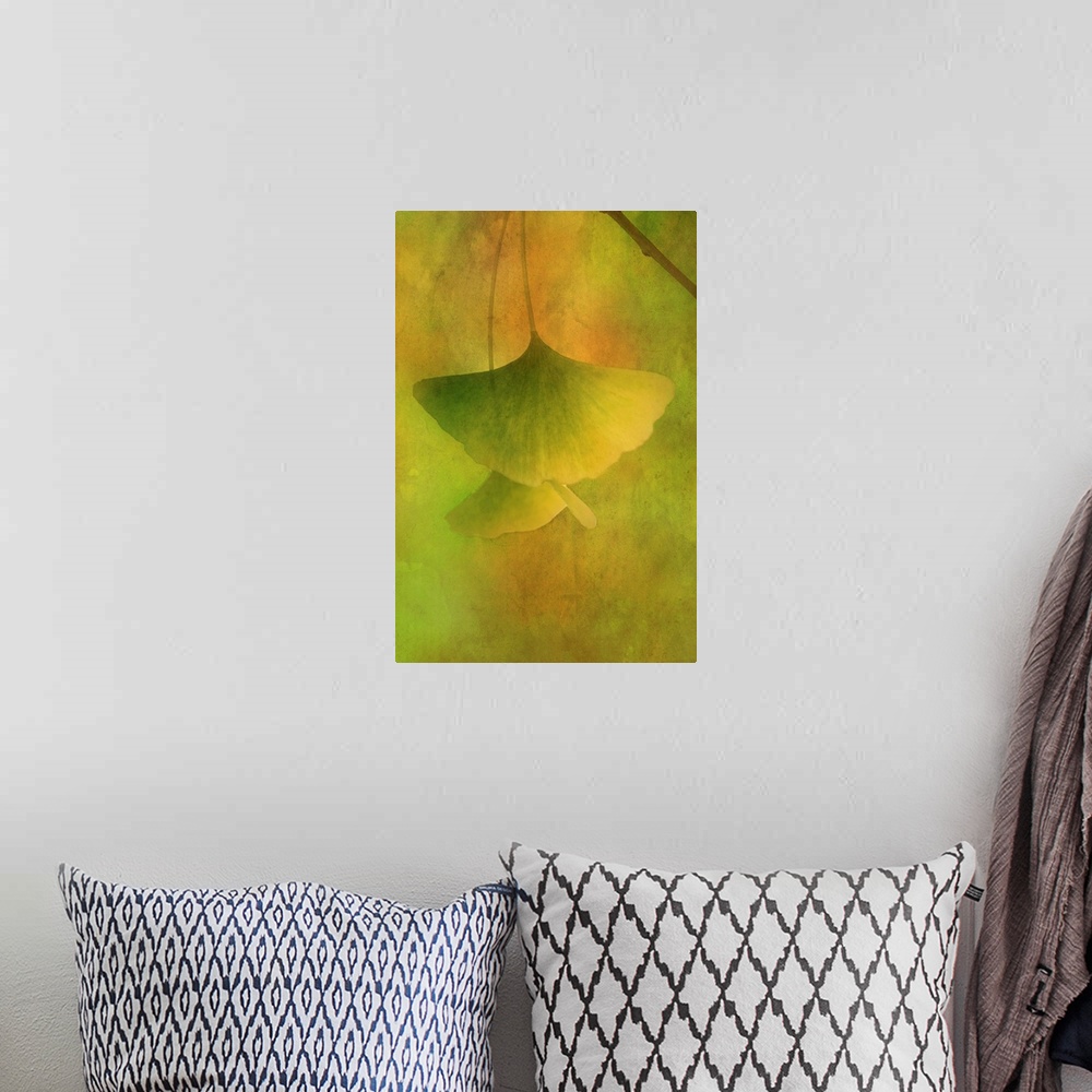 A bohemian room featuring Image of green Gingko leaves hanging from a branch on a dreamy green and orange background.