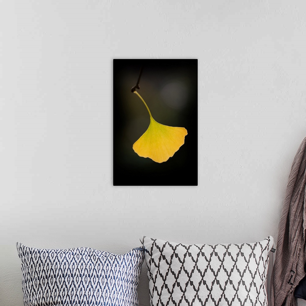 A bohemian room featuring A single yellow ginkgo leaf hanging off a twig.