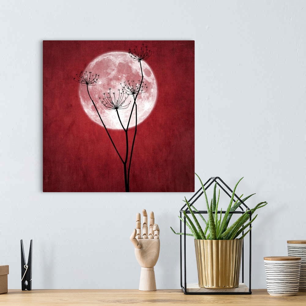 A bohemian room featuring Full red moon