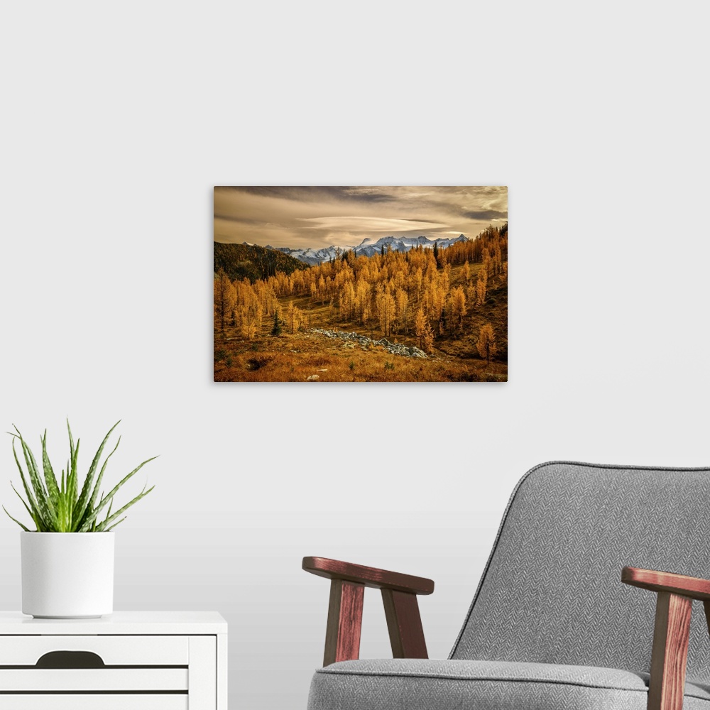 A modern room featuring Image made on an exceptionally beautiful afternoon towards evening in the mountains of British Co...