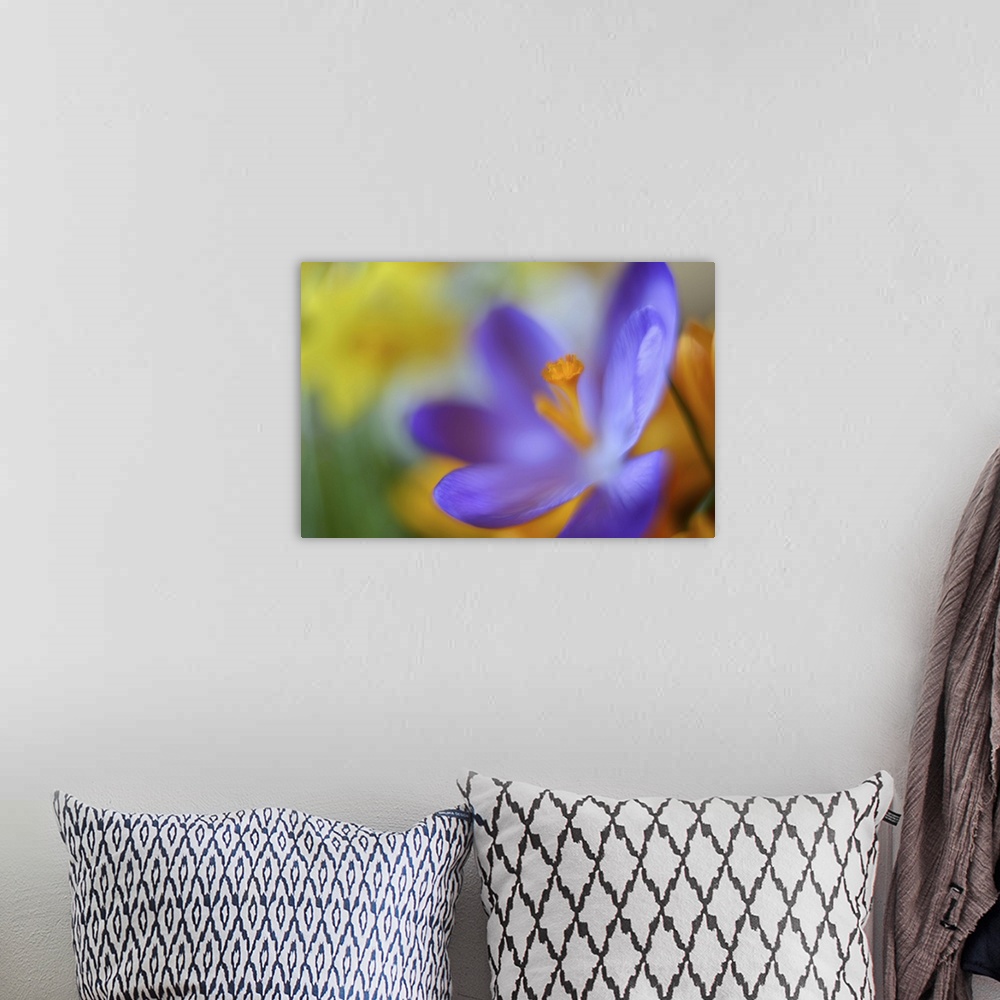 A bohemian room featuring A close-up photograph of a purple flower against an abstract background.