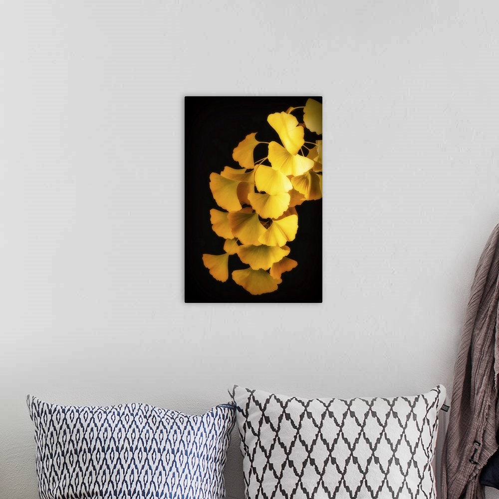 A bohemian room featuring A golden ginkgo branch on a black background.