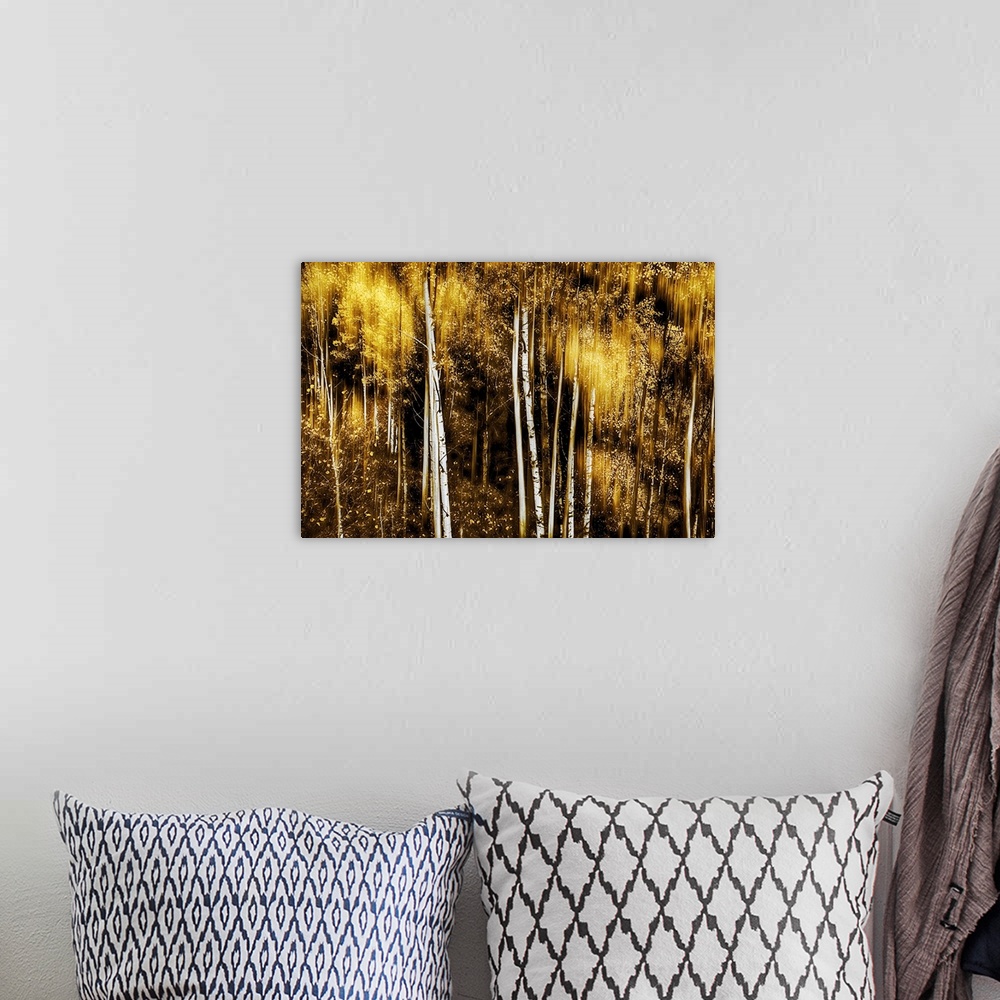 A bohemian room featuring Large photo on canvas of a brightly colored forest with tall tree trunks.