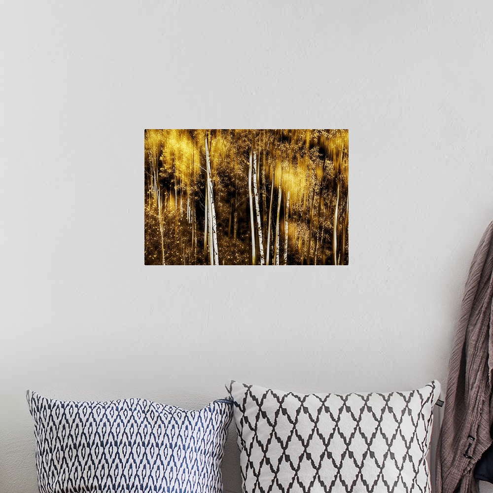 A bohemian room featuring Large photo on canvas of a brightly colored forest with tall tree trunks.