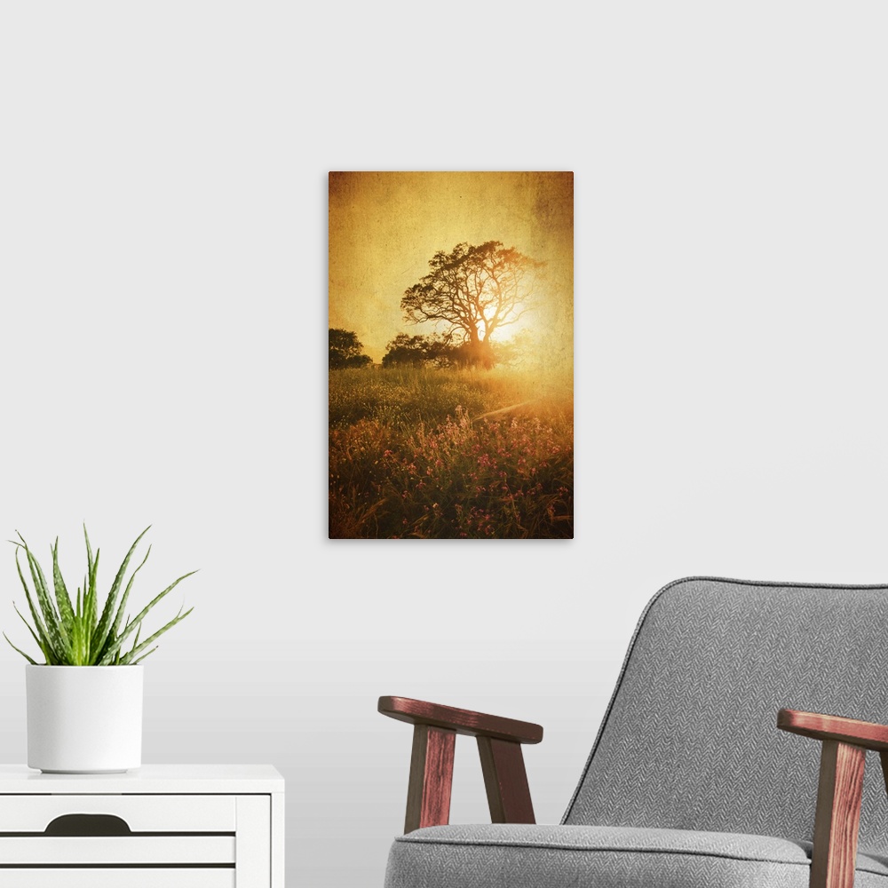 A modern room featuring Sunset with tree in meadow