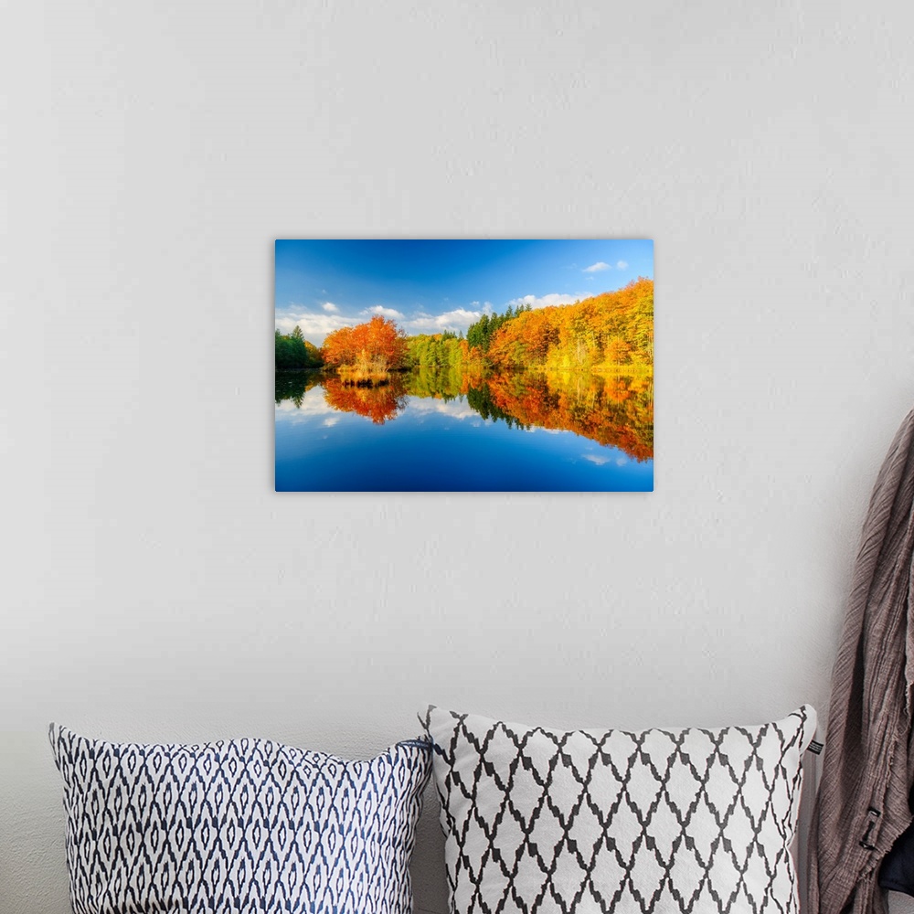 A bohemian room featuring Blue sky and trees turning to fall color mirrored in the calm waters at the edge of the forest.