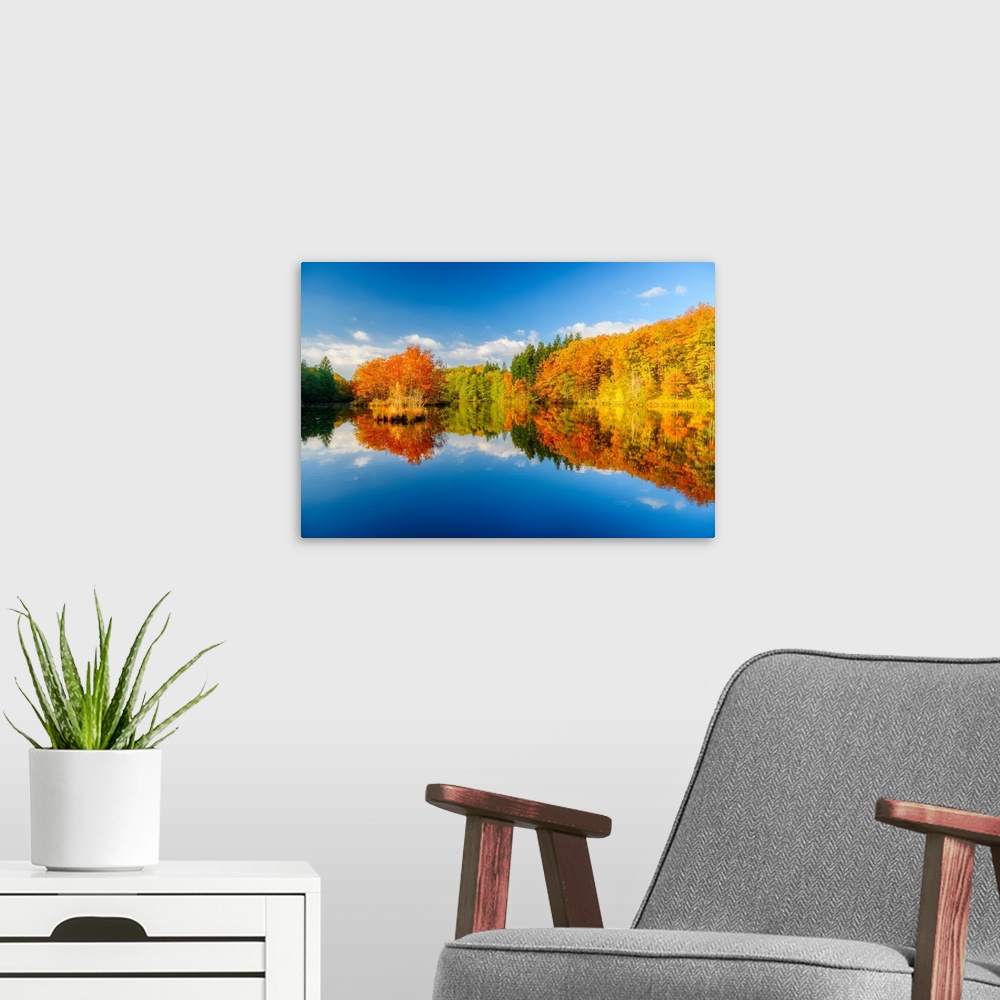 A modern room featuring Blue sky and trees turning to fall color mirrored in the calm waters at the edge of the forest.
