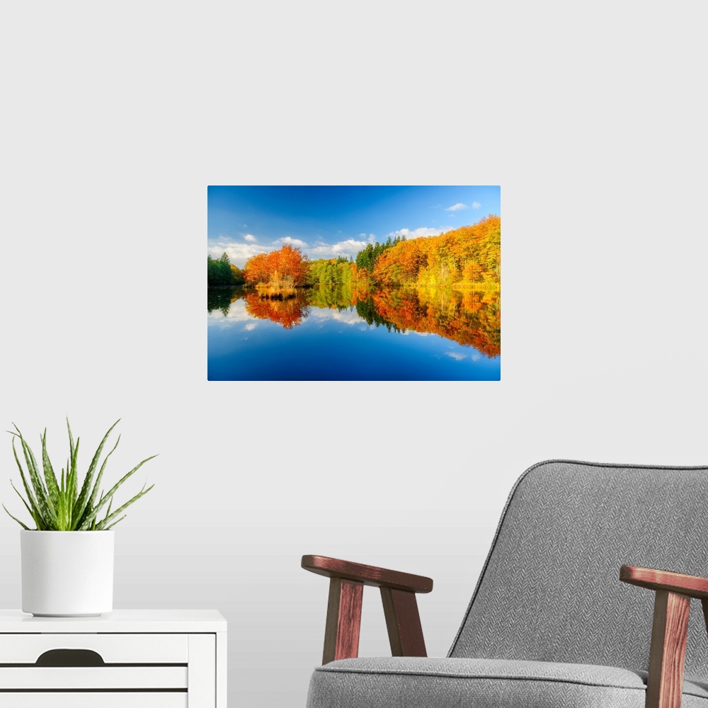 A modern room featuring Blue sky and trees turning to fall color mirrored in the calm waters at the edge of the forest.