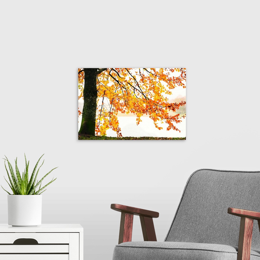A modern room featuring Orange leaves in autumn