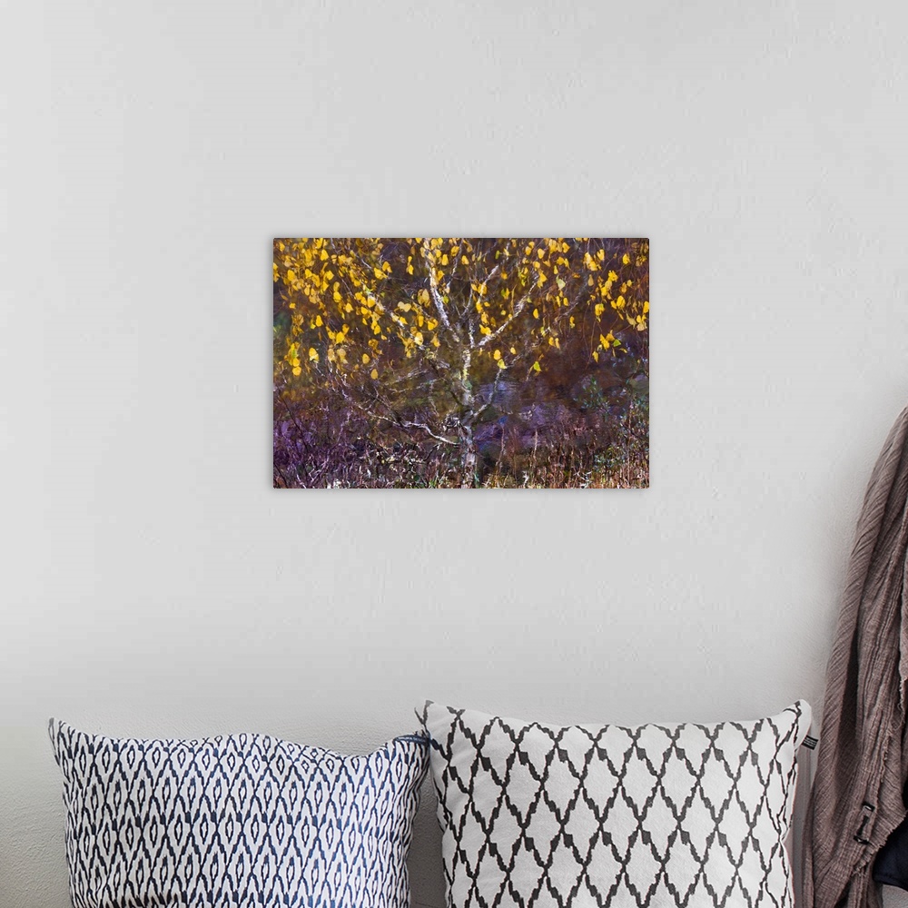 A bohemian room featuring A photo of a tree with yellow leaves blowing in the wind that has been edited to a painterly effect.