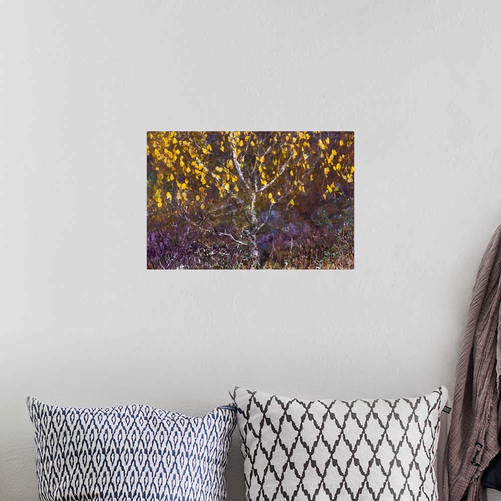 A bohemian room featuring A photo of a tree with yellow leaves blowing in the wind that has been edited to a painterly effect.