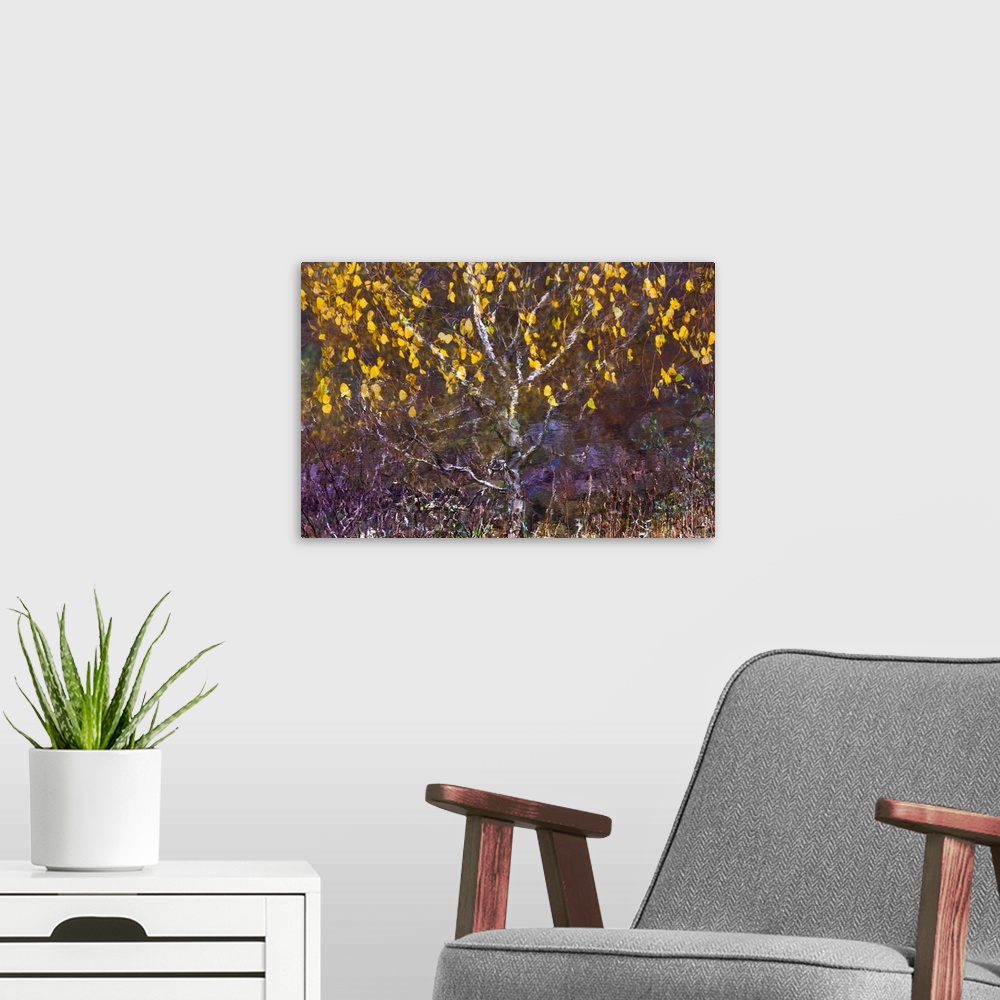 A modern room featuring A photo of a tree with yellow leaves blowing in the wind that has been edited to a painterly effect.
