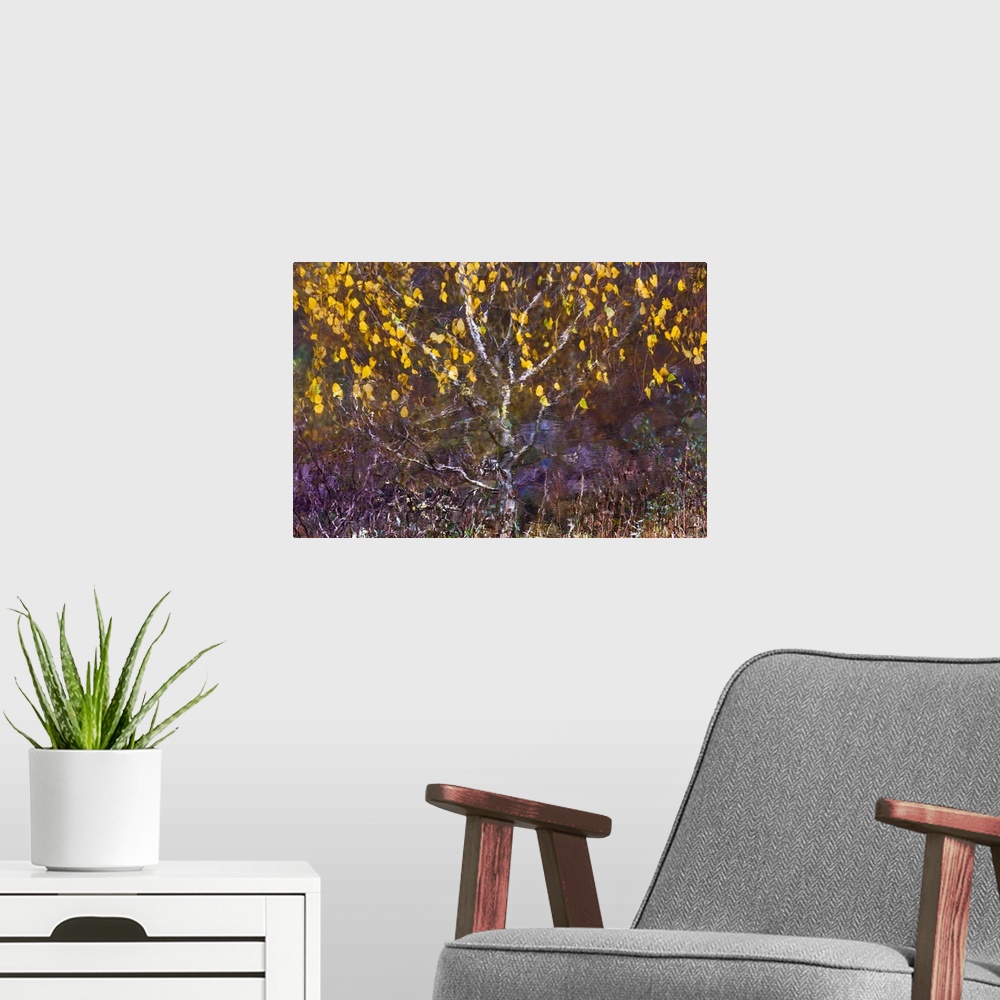 A modern room featuring A photo of a tree with yellow leaves blowing in the wind that has been edited to a painterly effect.