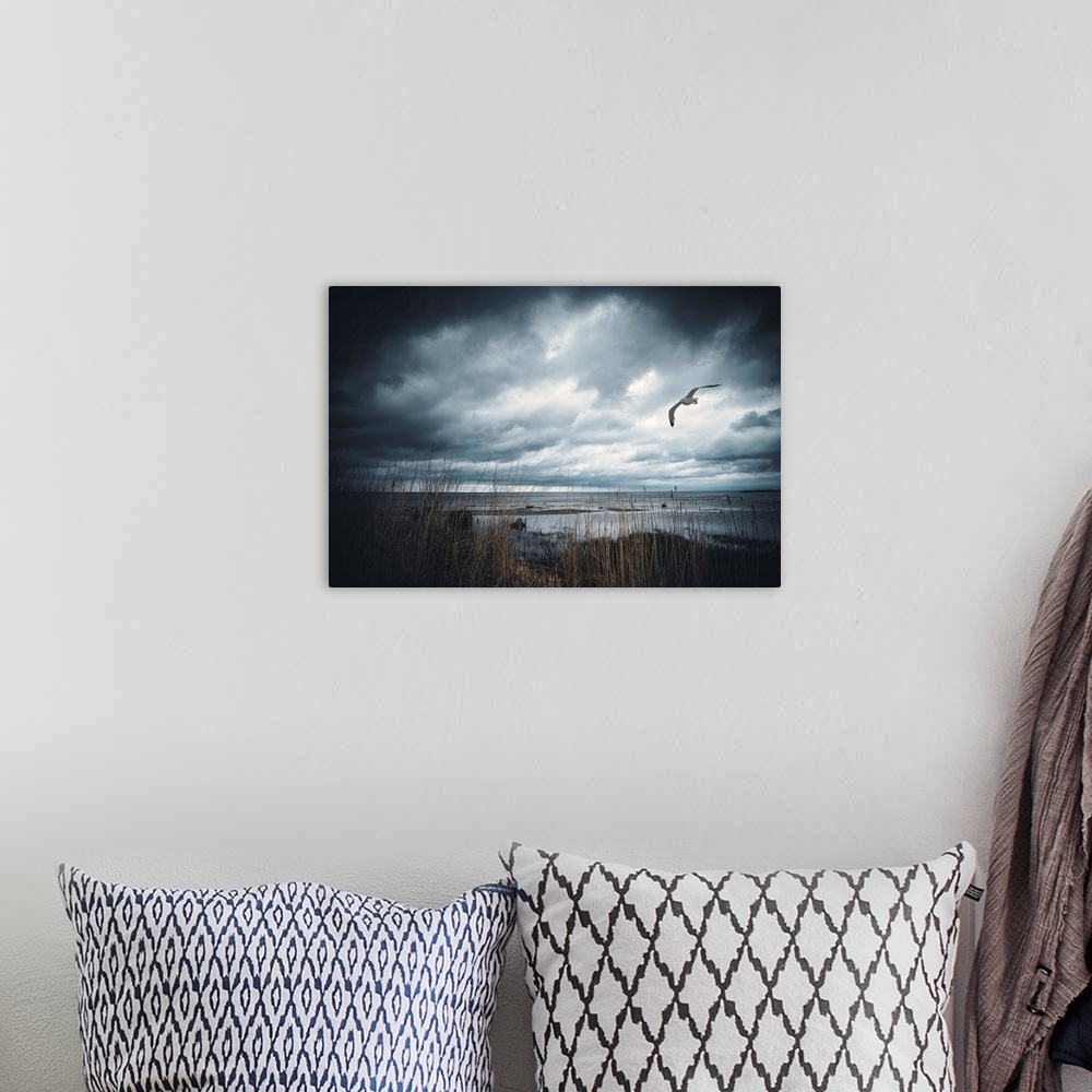 A bohemian room featuring Stormy sky by the sea with a seagull in the sky