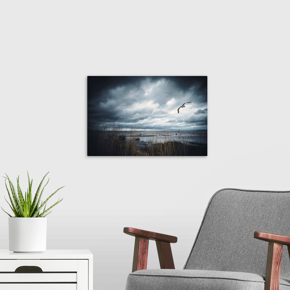 A modern room featuring Stormy sky by the sea with a seagull in the sky