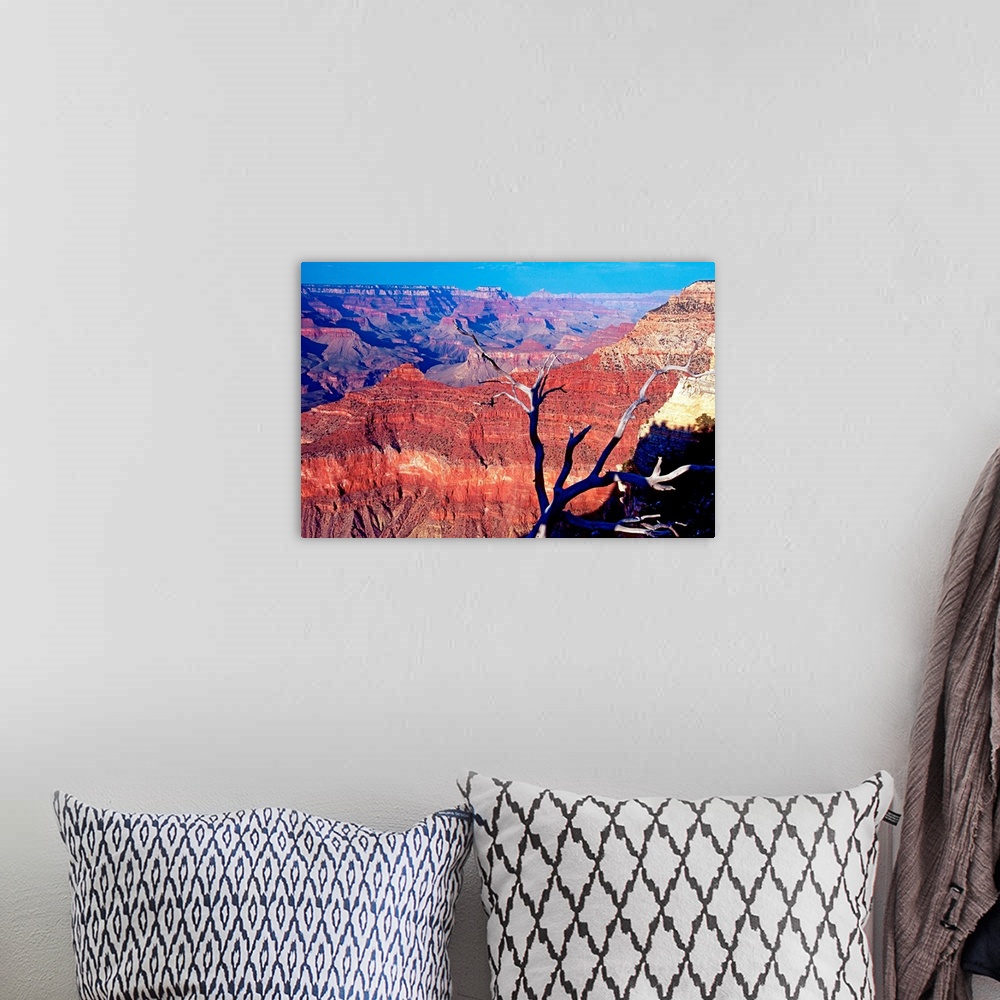 A bohemian room featuring Photograph of the Grand Canyon glowing red in South Rim, Arizona (AZ).
