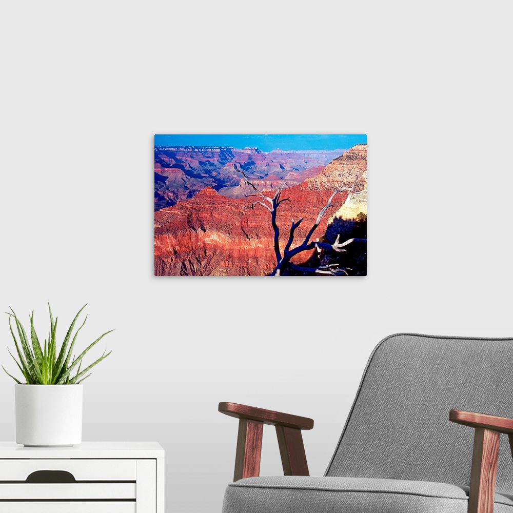 A modern room featuring Photograph of the Grand Canyon glowing red in South Rim, Arizona (AZ).
