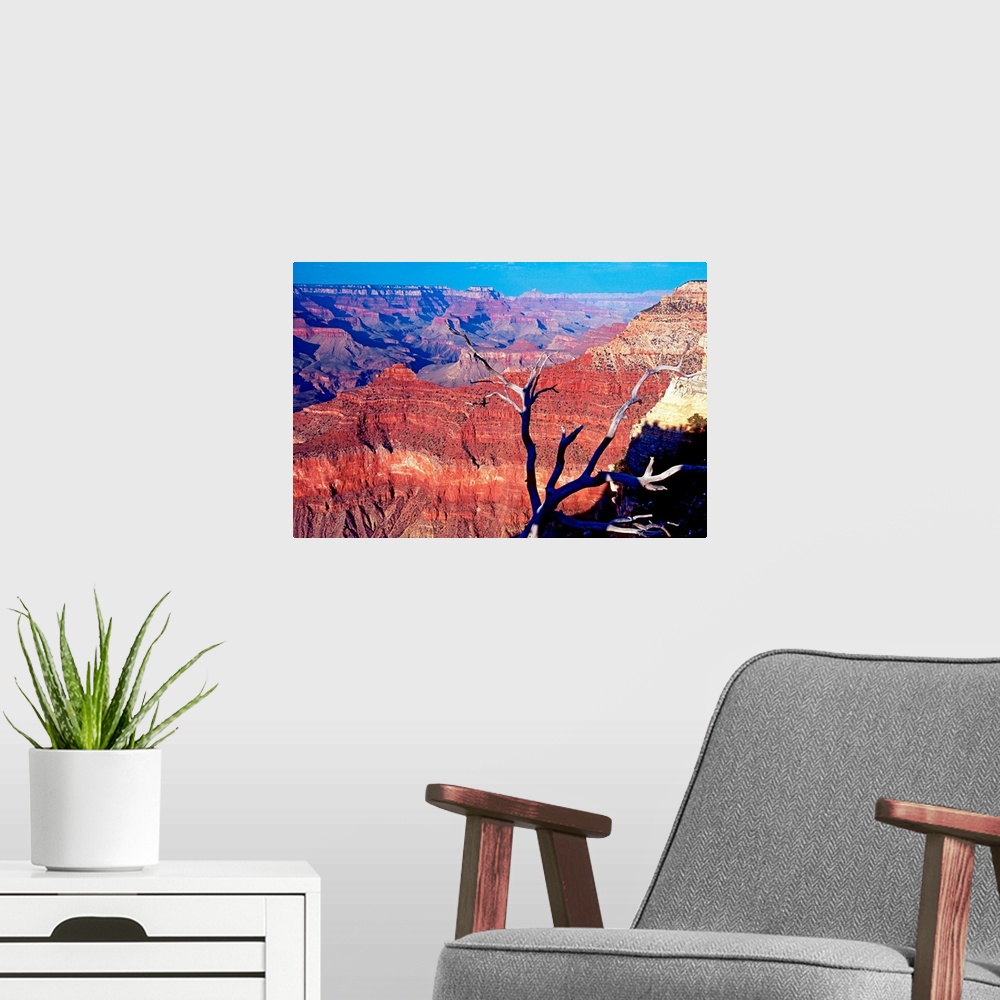 A modern room featuring Photograph of the Grand Canyon glowing red in South Rim, Arizona (AZ).