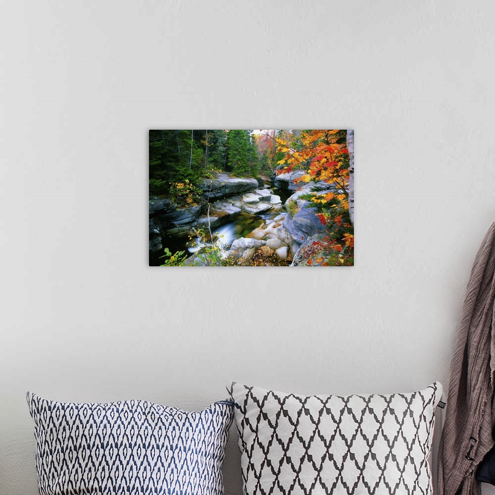 A bohemian room featuring Granite rocks of Ammonoosuc River in Fall, White Mountains, New Hampshire.