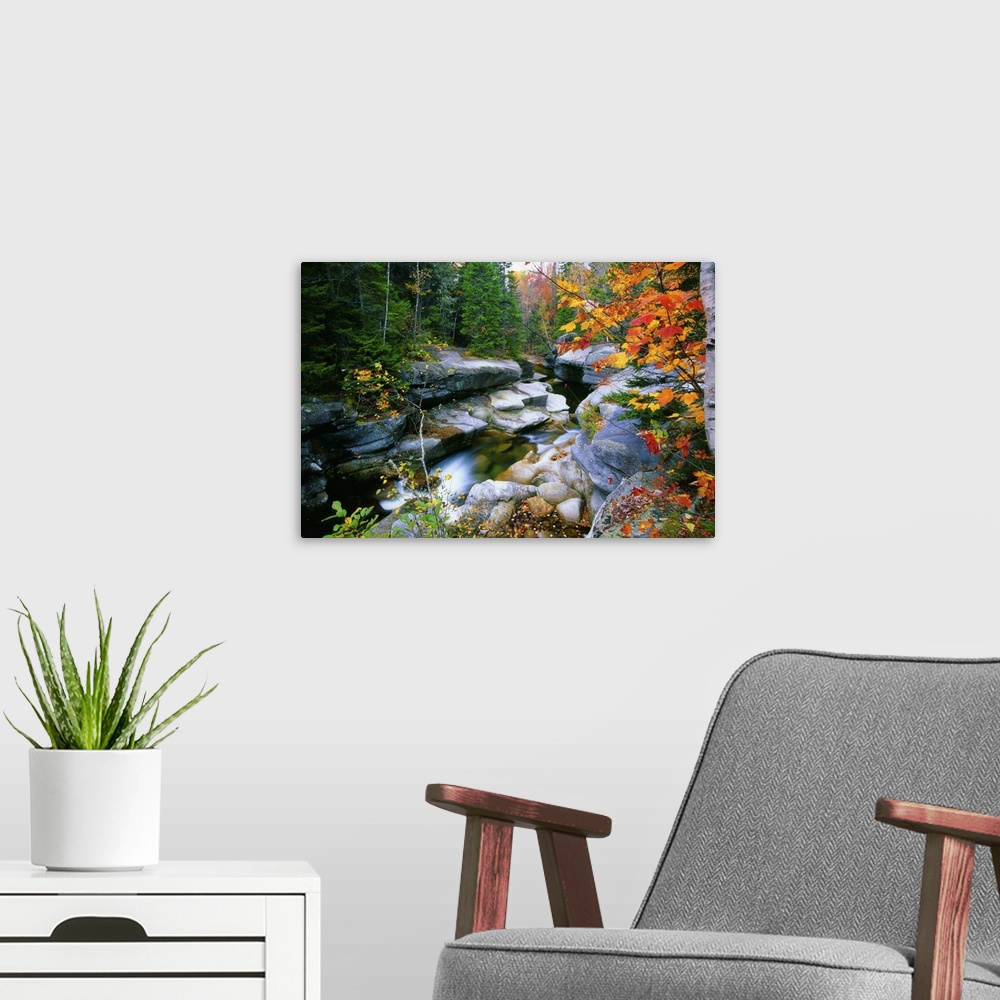 A modern room featuring Granite rocks of Ammonoosuc River in Fall, White Mountains, New Hampshire.